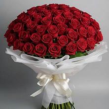 Букет 101 Красная роза Блэк Мэджик в Балахте