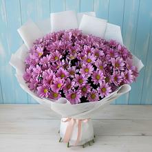 Букет цветов из:  Хризантемы в Балахте