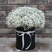 Цветочная композиция из Гипсофила в шляпной коробке в Балахте