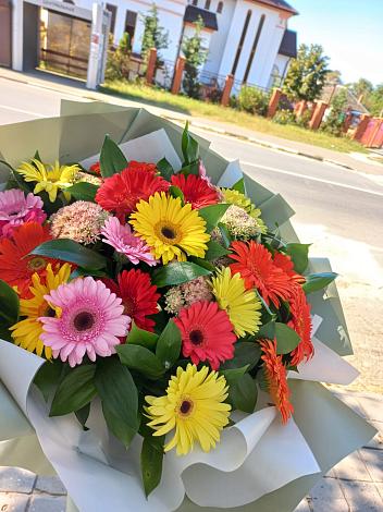 Букет цветов из: Герберы в Балахте