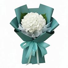 Букет цветов из:  Гортензия в Балахте